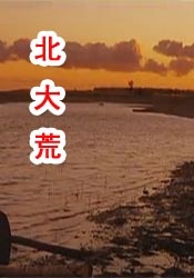 完美的他人：秘密的冲浪